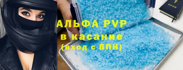индика Волоколамск