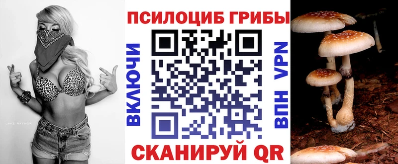 Галлюциногенные грибы мицелий Кашира